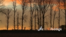 Woman Jogger Silhouetted 1 2993